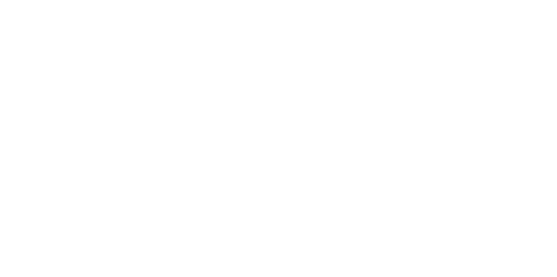 Wiz
